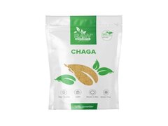 Raw Powders Chaga Pudra - 125 grame